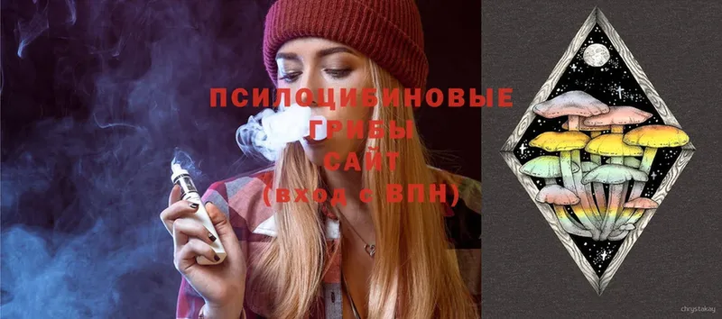 omg как войти  Суздаль  Галлюциногенные грибы Magic Shrooms 